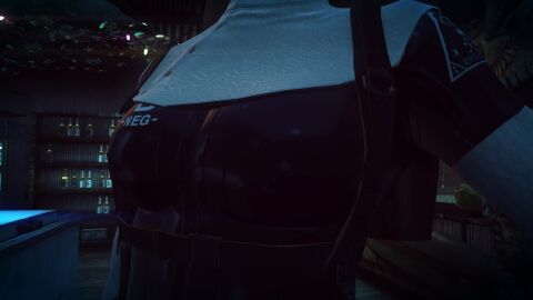 Image: 10004840