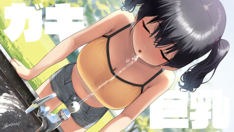 Image: 4312043
