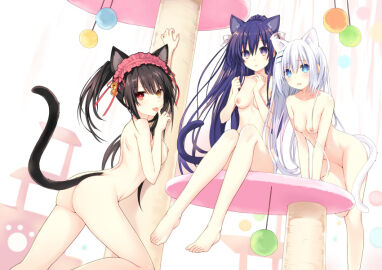 Image: 6167811