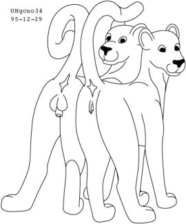 Image: 13010225