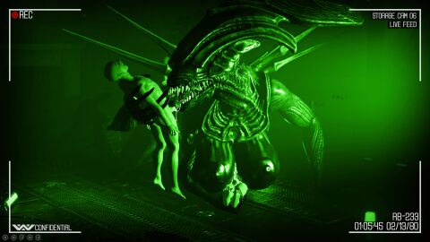 Image: 12172366