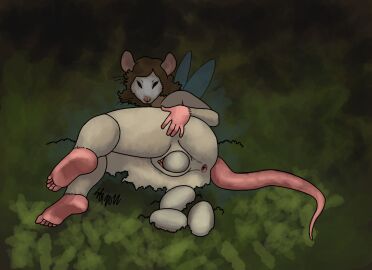 Image: 5336075