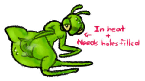 Image: 9969920