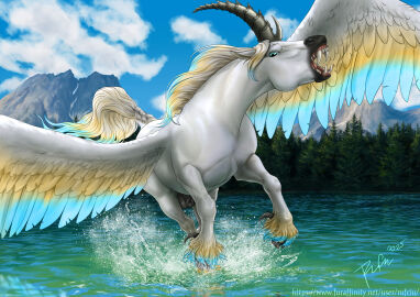 Image: 12451613
