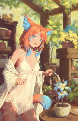 Image: 12618712