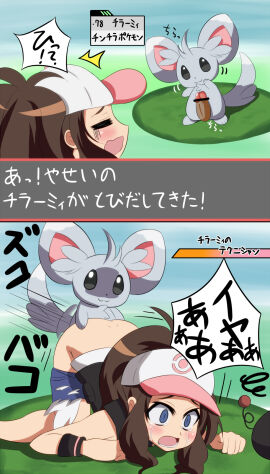 Image: 3050358