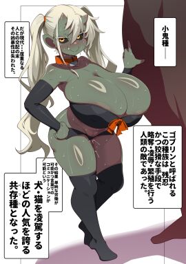 Image: 11588217