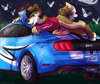 Image: 1712991