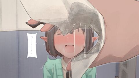 Image: 4317785