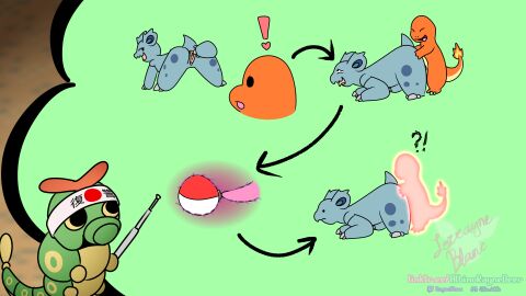 Image: 4017791