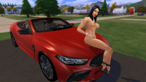 Image: 13093916