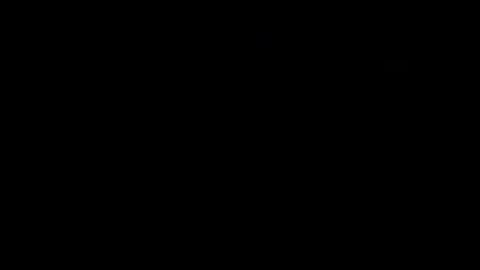Image: 13069635