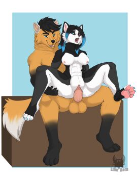 Image: 7582347