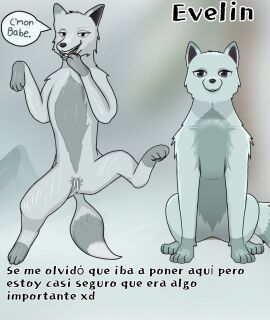 Image: 9314725