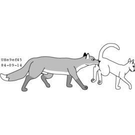 Image: 13144871