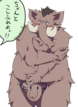 Image: 3294841