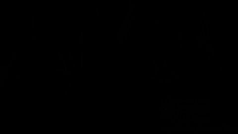 Image: 8124405