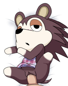 Image: 6040162