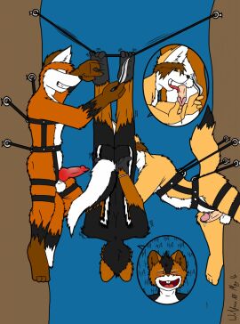 Image: 4221566