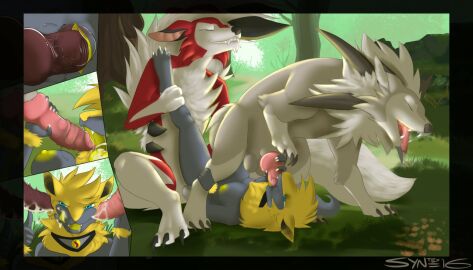 Image: 985729