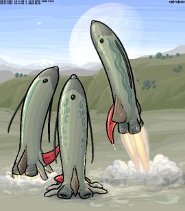 Image: 11508256