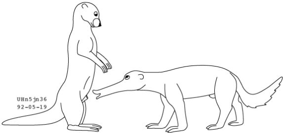 Image: 13019046