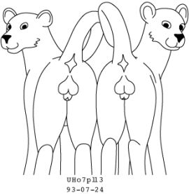 Image: 13085588