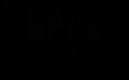 Image: 13104028