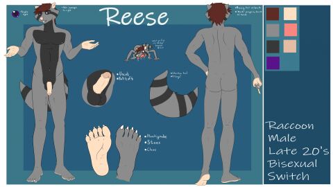 Image: 11555547