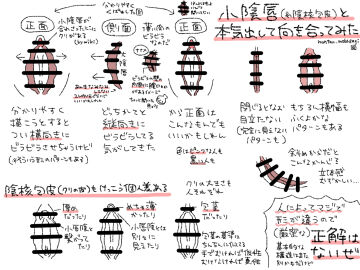 Image: 10567388