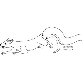 Image: 13012310