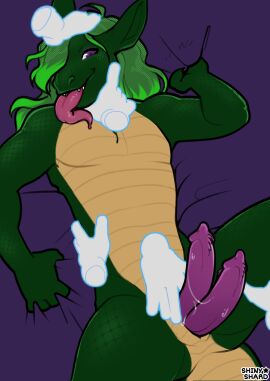 Image: 9709376