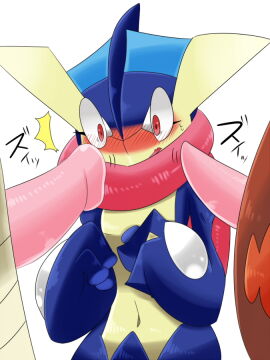 Image: 334335