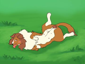Image: 6583737