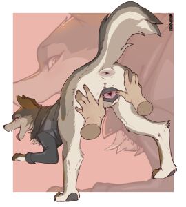 Image: 10632451