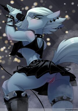 Image: 11249466