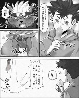 Image: 4793957