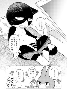 Image: 11200245