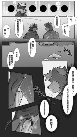 Image: 12361871