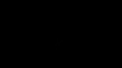 Image: 8160347