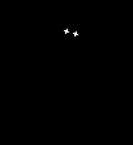 Image: 9031987