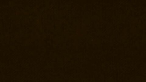 Image: 7019948