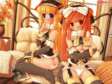 Image: 479497
