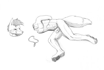 Image: 6886077
