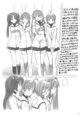 Image: 3010687