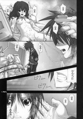Image: 2911740