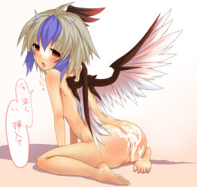 Image: 1110943