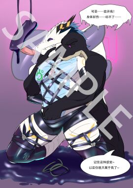 Image: 10607703