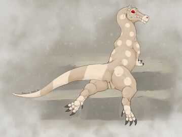 Image: 12816769