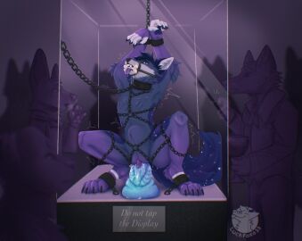 Image: 8003706